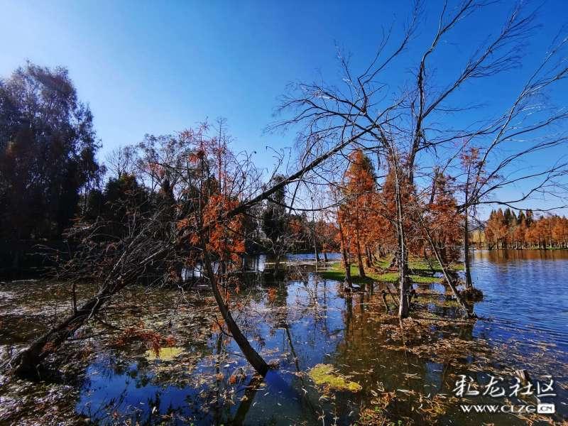 爷爷家里要修房子，让我出钱，我应该出吗？游戏画面