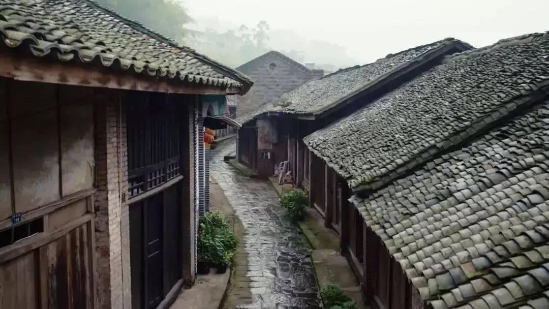 4强爆冷出局太心痛,德约科维奇要休息5周来调整,心态崩溃了!